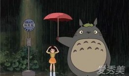 龙猫娱乐大爆料,揭秘幕后故事与精彩瞬间